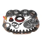 Master Overhaul kit for '09 & down Ford 8.8" differential.